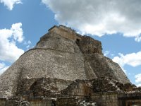 IMG 0329