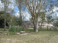 IMG 0353