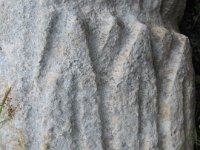 IMG 0356