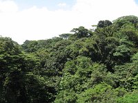 2010 0402costa-rica-20100016