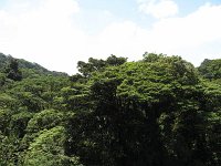 2010 0402costa-rica-20100017