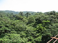 2010 0402costa-rica-20100020