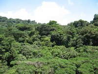 2010 0402costa-rica-20100022