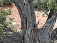 moab-2015- 024