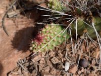 moab-2015- 026