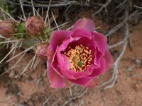 moab-2015- 037