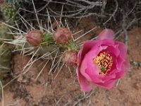 moab-2015- 038