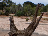 moab-2015- 039