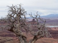 moab-2015- 053