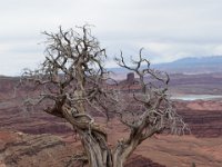 moab-2015- 054