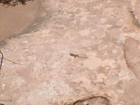 moab-2015- 070