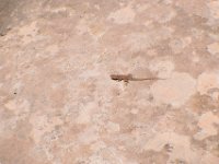 moab-2015- 071