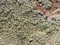 moab-2015- 077