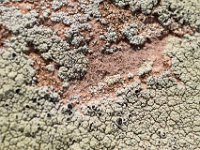 moab-2015- 078