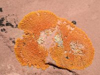 moab-2015- 081