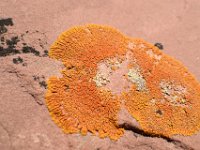 moab-2015- 082