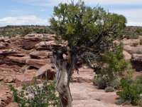 moab-2015- 084