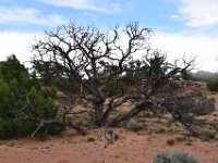 moab-2015- 095
