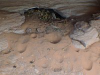 moab-2015- 104