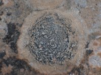 moab-2015- 128