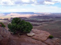 moab-2015- 130