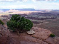moab-2015- 131