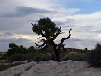 moab-2015- 135