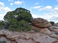 moab-2015- 138