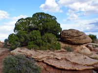 moab-2015- 139