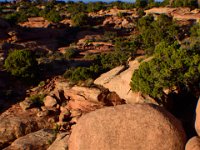 moab-2015- 158