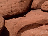 moab-2015- 166