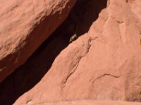 moab-2015- 167