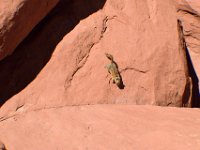 moab-2015- 168