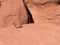 moab-2015- 169
