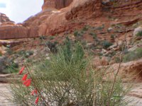 moab-2015- 208