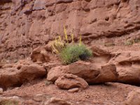 moab-2015- 225