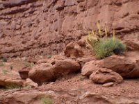 moab-2015- 226