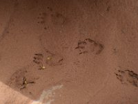 moab-2015- 228
