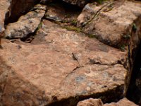 moab-2015- 299