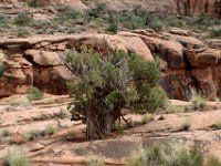 moab-2015- 301