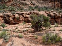 moab-2015- 302