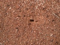 moab-2015- 303