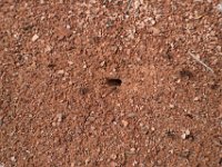 moab-2015- 304