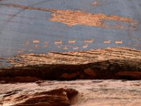 moab-2015- 307