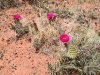 moab-2015- 324