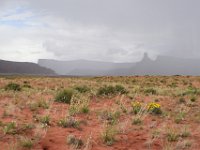 moab-2015- 329