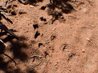 moab-2015- 367