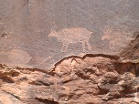 moab-2015- 384
