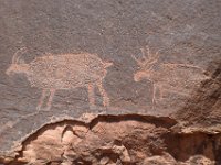 moab-2015- 385