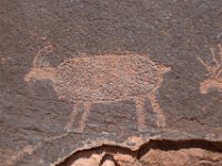 moab-2015- 386
